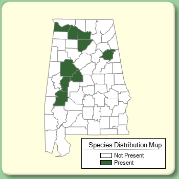 Species Distribution Map