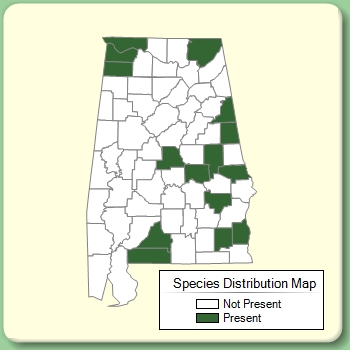 Species Distribution Map