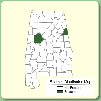 Species Distribution Map