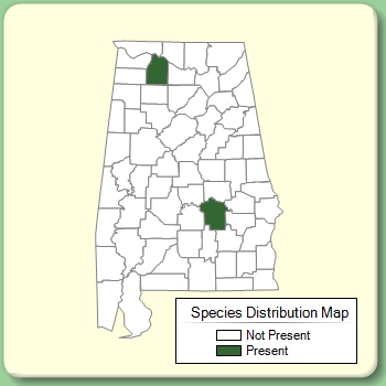 Species Distribution Map