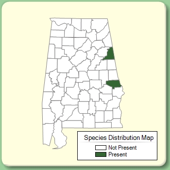 Species Distribution Map