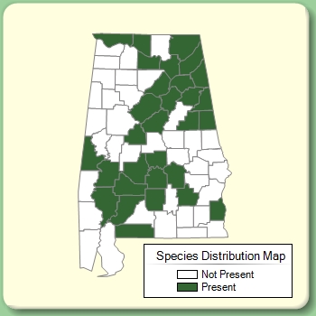 Species Distribution Map