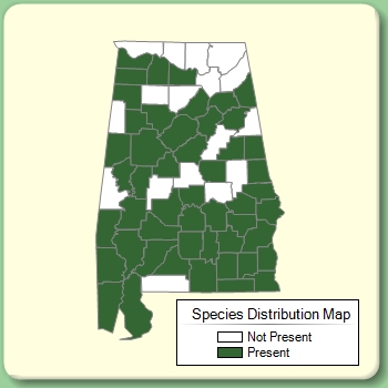 Species Distribution Map