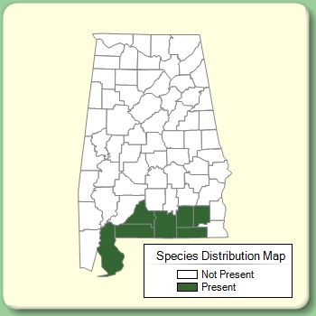 Species Distribution Map