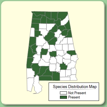 Species Distribution Map