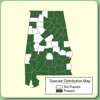 Species Distribution Map