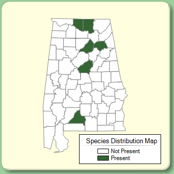 Species Distribution Map