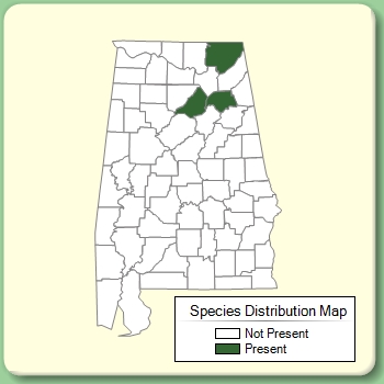 Species Distribution Map