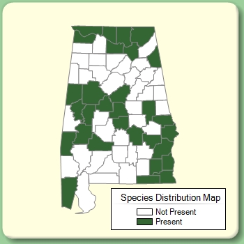 Species Distribution Map