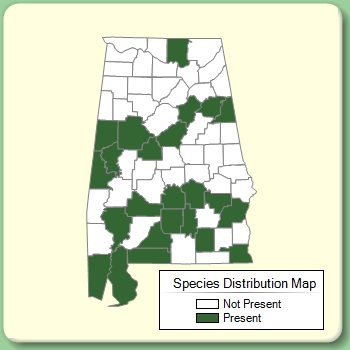 Species Distribution Map