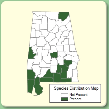 Species Distribution Map