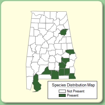 Species Distribution Map