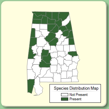 Species Distribution Map