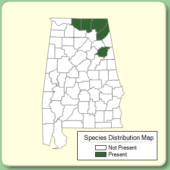 Species Distribution Map