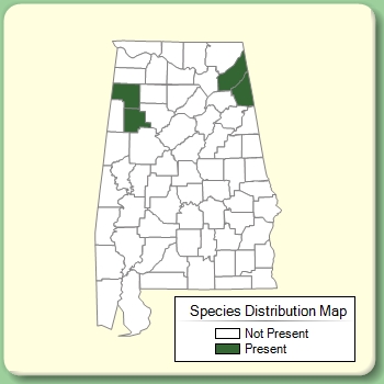 Species Distribution Map