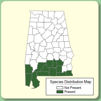 Species Distribution Map