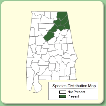 Species Distribution Map