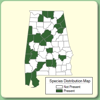 Species Distribution Map