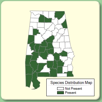 Species Distribution Map