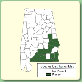 Species Distribution Map