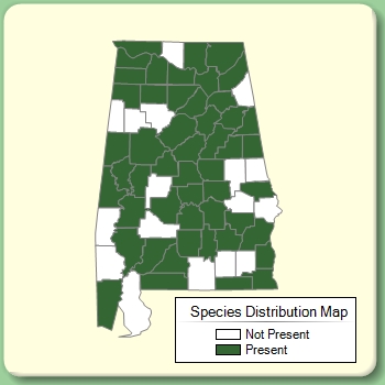 Species Distribution Map