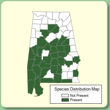 Species Distribution Map