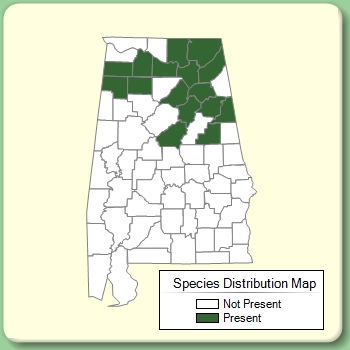 Species Distribution Map