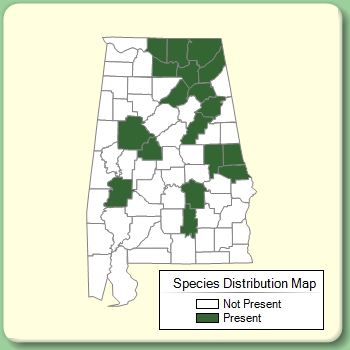 Species Distribution Map