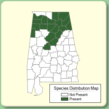 Species Distribution Map