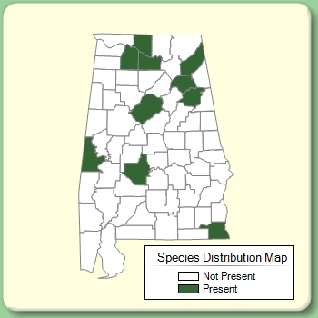 Species Distribution Map