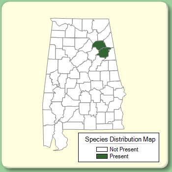 Species Distribution Map