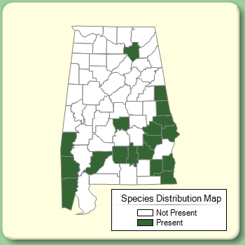 Species Distribution Map