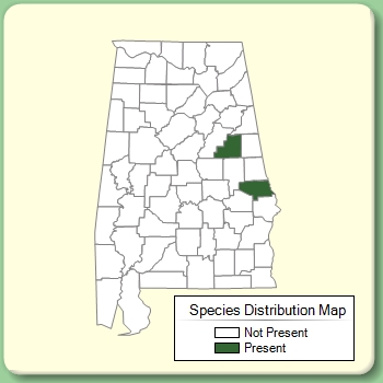 Species Distribution Map