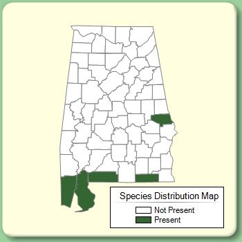 Species Distribution Map