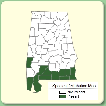 Species Distribution Map