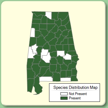 Species Distribution Map