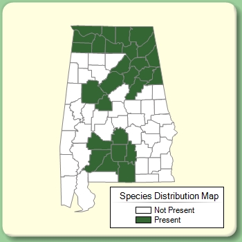 Species Distribution Map