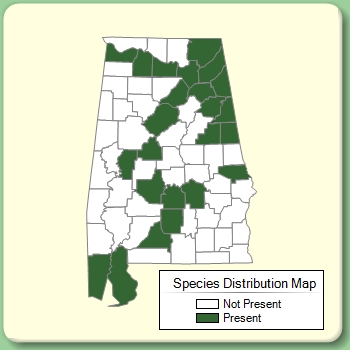 Species Distribution Map