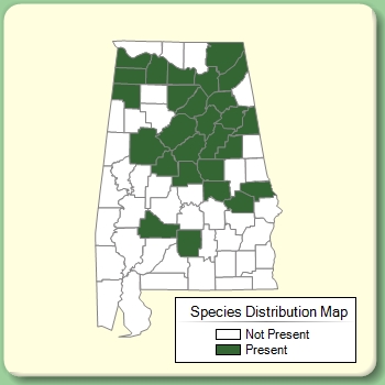 Species Distribution Map