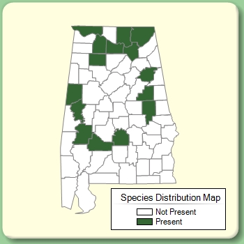 Species Distribution Map