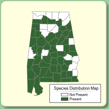 Species Distribution Map