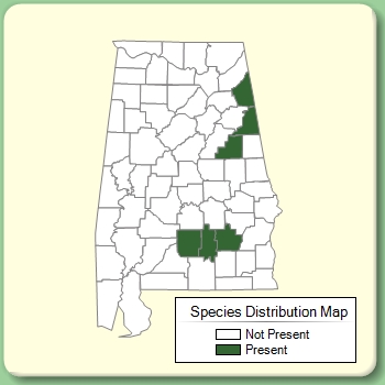 Species Distribution Map