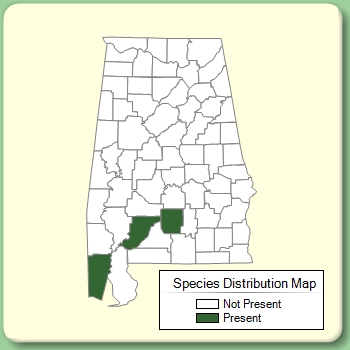 Species Distribution Map