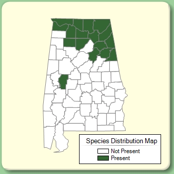 Species Distribution Map