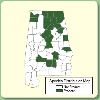 Species Distribution Map