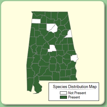 Species Distribution Map