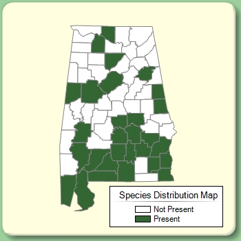 Species Distribution Map