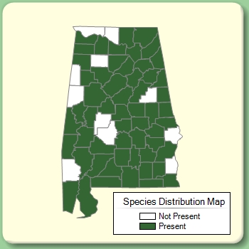 Species Distribution Map