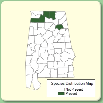 Species Distribution Map