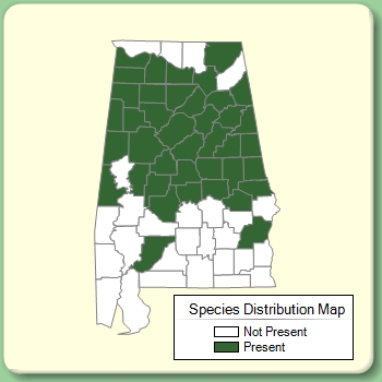 Species Distribution Map